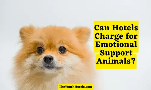 Can Hotels Charge for Emotional Support Animals?