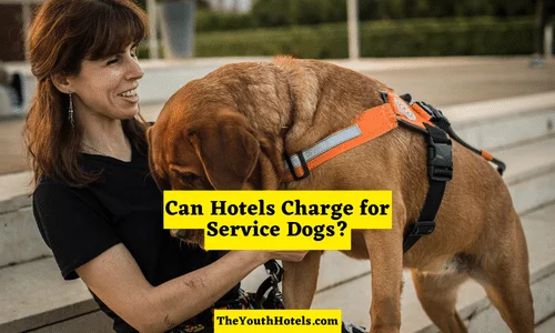 Can a Hotel Charge for a Service Dog?
