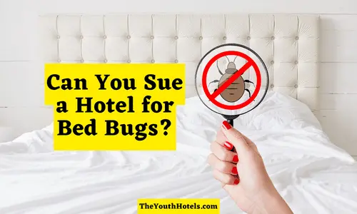 Can You Sue a Hotel for Bed Bugs?
