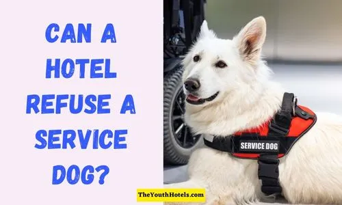 Can a Hotel Refuse a Service Dog?