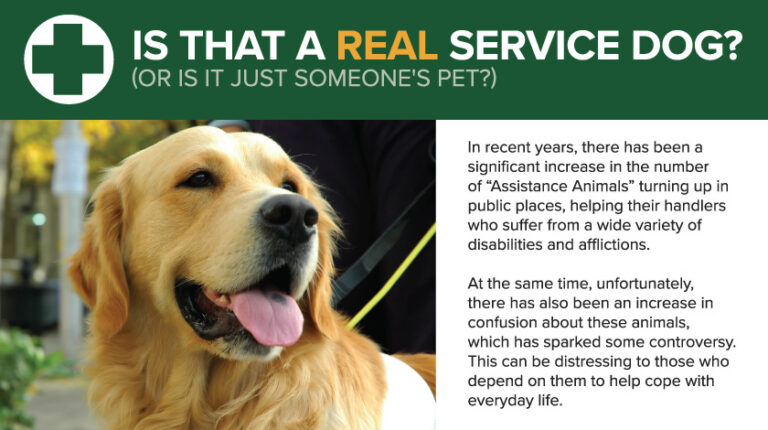 Can a Hotel Ask for Proof of Service Dog?