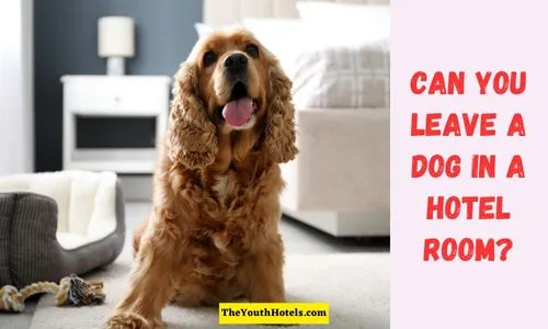 Can You Leave a Dog in a Hotel Room? Discover Essential Tips