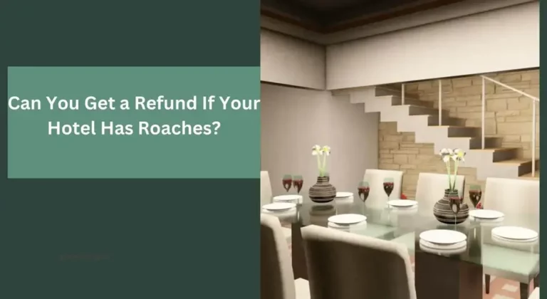 Can You Get a Refund If Your Hotel Has Roaches? Find Out Now!