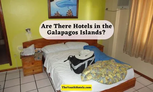 Are There Hotels in the Galapagos Islands?