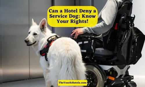Can a Hotel Deny a Service Dog
