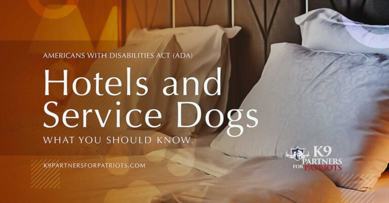 How to Check in Hotel With Service Animal?