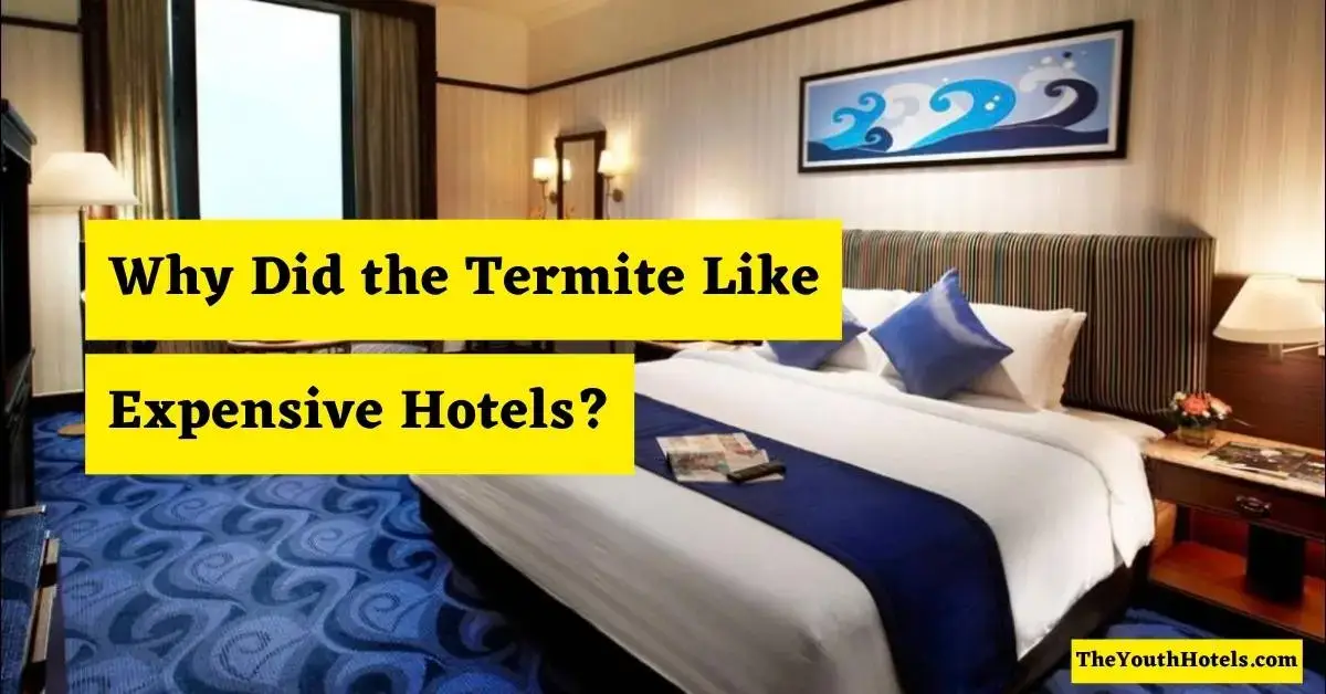 Why Did the Termite Like Expensive Hotels?